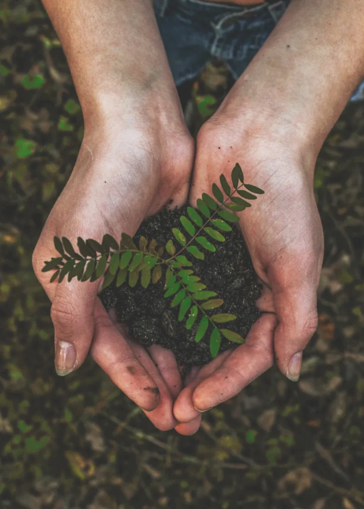 Huella de Carbono; co2 fußabdruck